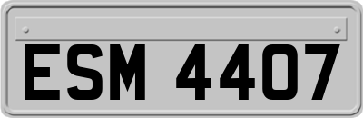 ESM4407