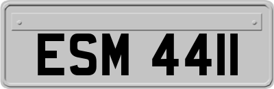 ESM4411