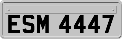 ESM4447