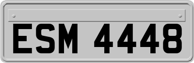 ESM4448