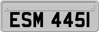ESM4451