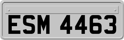 ESM4463