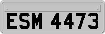 ESM4473