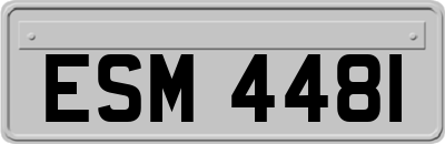 ESM4481