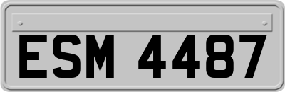 ESM4487