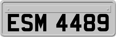 ESM4489