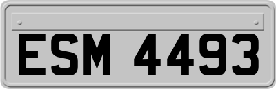 ESM4493
