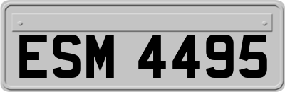 ESM4495