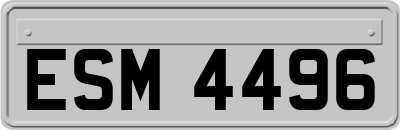 ESM4496