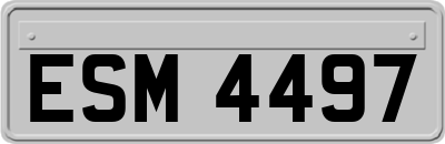 ESM4497