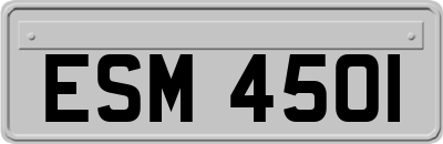 ESM4501