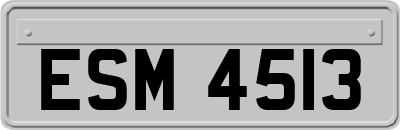ESM4513