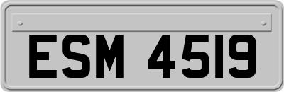 ESM4519