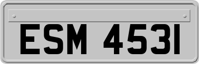 ESM4531