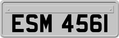 ESM4561