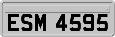 ESM4595