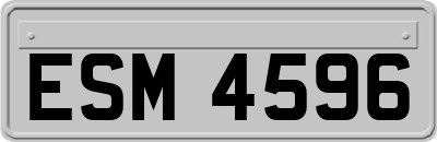ESM4596