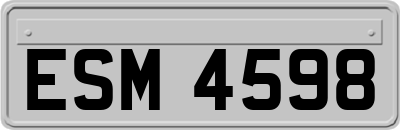 ESM4598
