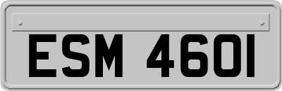 ESM4601