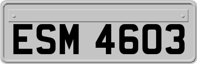 ESM4603