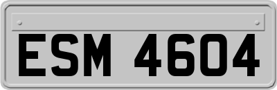 ESM4604