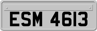 ESM4613