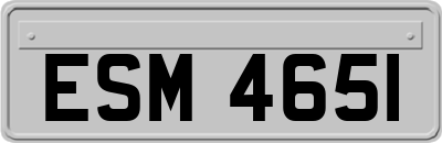 ESM4651