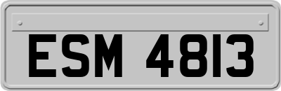 ESM4813