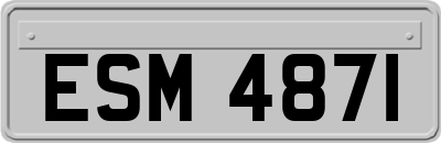 ESM4871