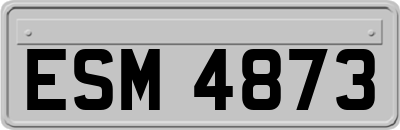 ESM4873