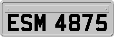 ESM4875