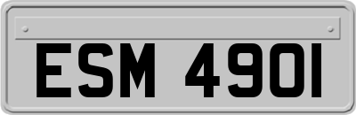 ESM4901