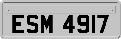 ESM4917