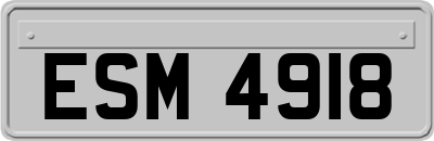 ESM4918