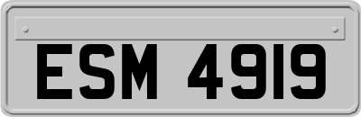 ESM4919