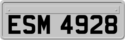 ESM4928