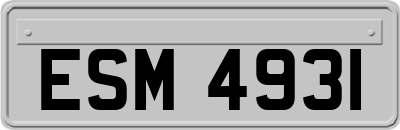 ESM4931