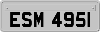 ESM4951