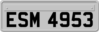 ESM4953