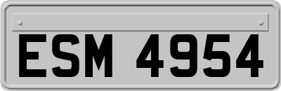 ESM4954