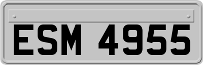 ESM4955