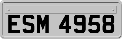 ESM4958