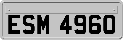 ESM4960