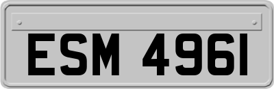 ESM4961