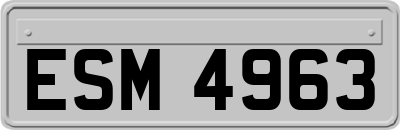 ESM4963