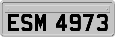 ESM4973