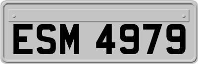 ESM4979