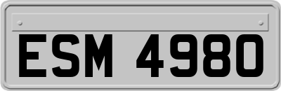ESM4980