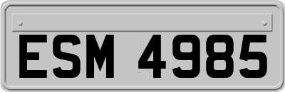 ESM4985