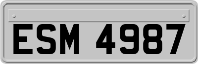 ESM4987